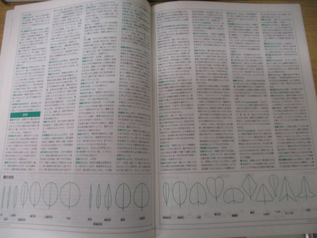 植物の世界 全15巻セット』をまとめて買い取りしました。｜古本買取