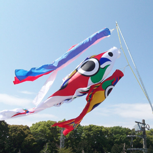 密買東京｜心までも泳ぐ｜商品詳細（TARO200（太郎鯉） - 岡本太郎 -）