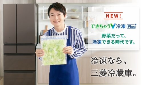 三菱電機 冷蔵庫：置けるスマート大容量シリーズ MBシリーズ MR-MB45H