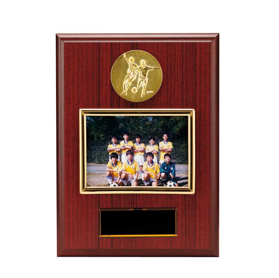 卒業記念品 レリーフ選択 フォトフレーム楯（EO61） / 記念品の激安