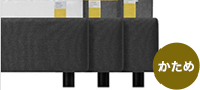 Zero-G® ELEVATE KD 電動リクライニングベッド - 宮田家具総本店