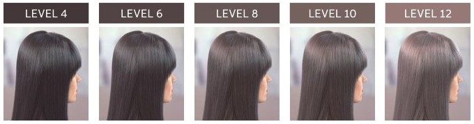 正規販売店＞ウエラ イルミナカラー 2025年4月新色！トレンドの『王道