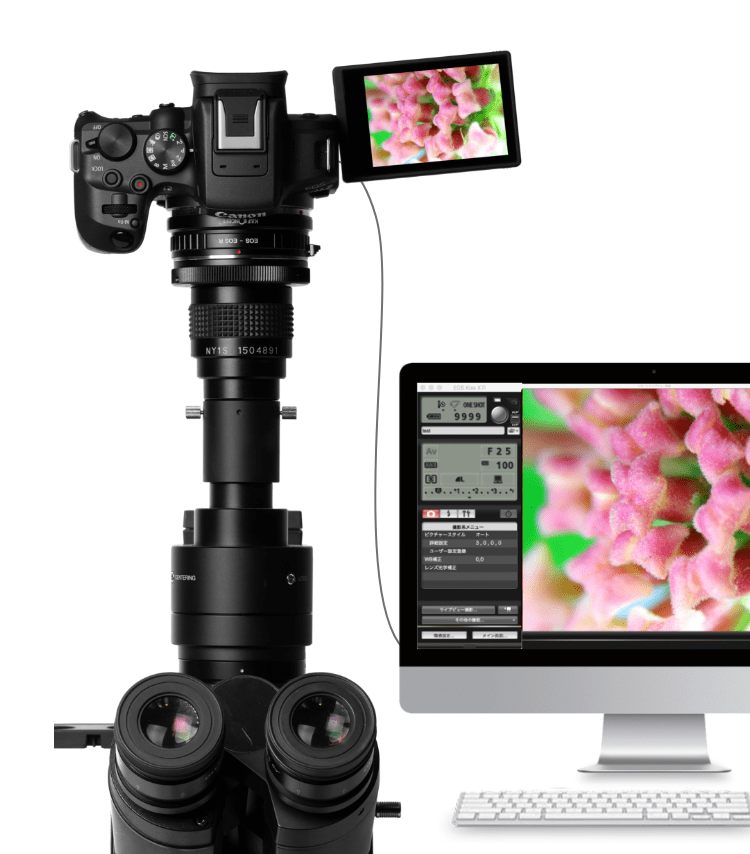 キヤノン 顕微鏡撮影システム EOS R10スーパーシステム | マイクロネット