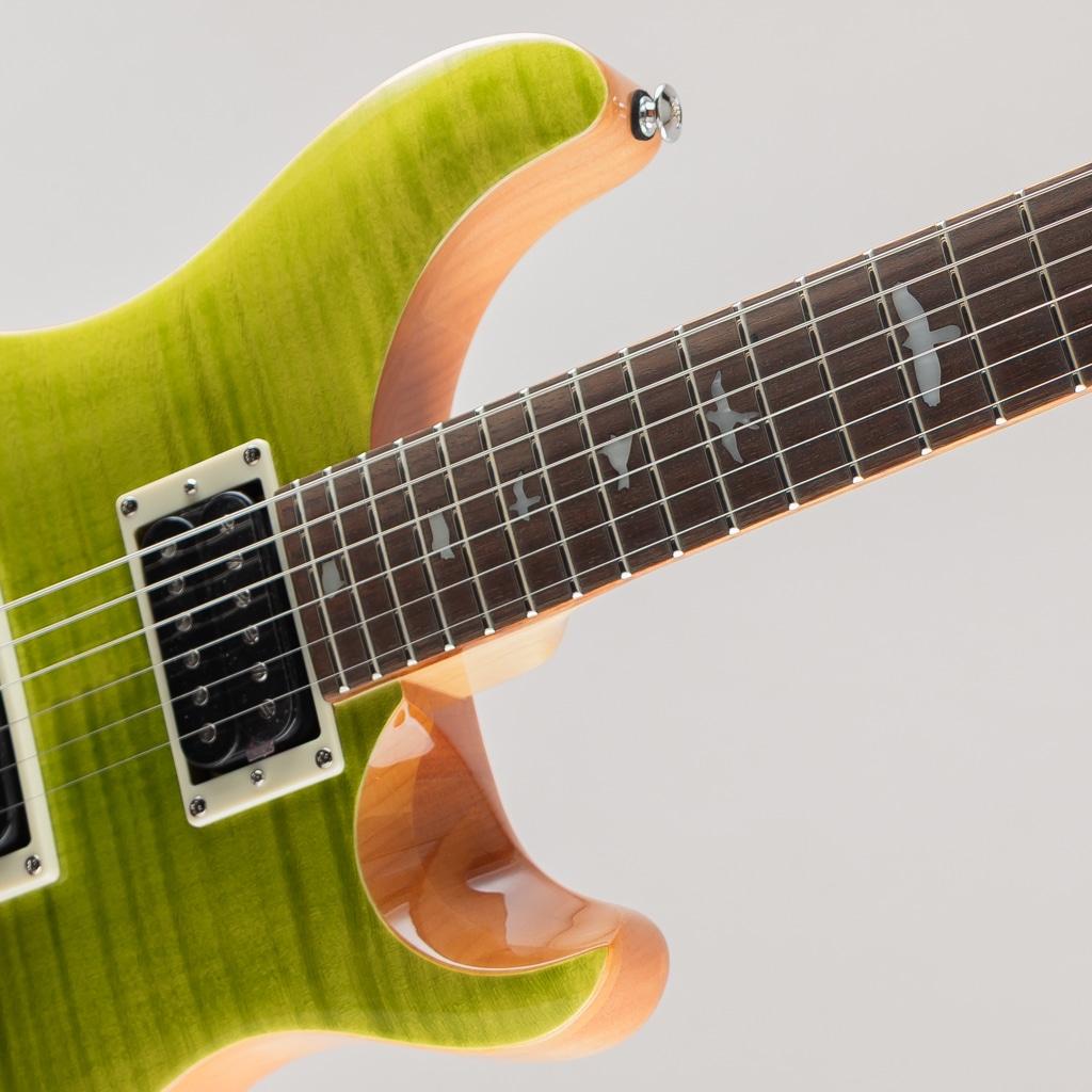 SE Custom 24 / Eriza Verde 【2024】(アメリカ村店 Eriza Verde