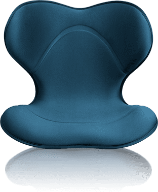 姿勢 骨盤 テレワーク】スタイルスマート（Style SMART） | MTG ONLINESHOP