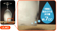 遠赤蒸しマットウルモ | 健康商品ラインナップ | 商品情報 | MTG Co., Ltd.