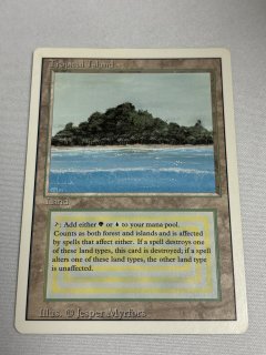 Tropical Island - MTG専門店 Initiative