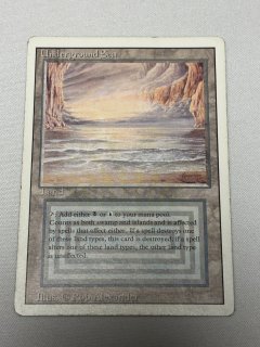 デュアルランド/Dual Land - MTG専門店 Initiative