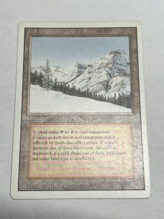 Taiga - MTG専門店 Initiative