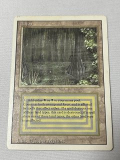 Bayou - MTG専門店 Initiative