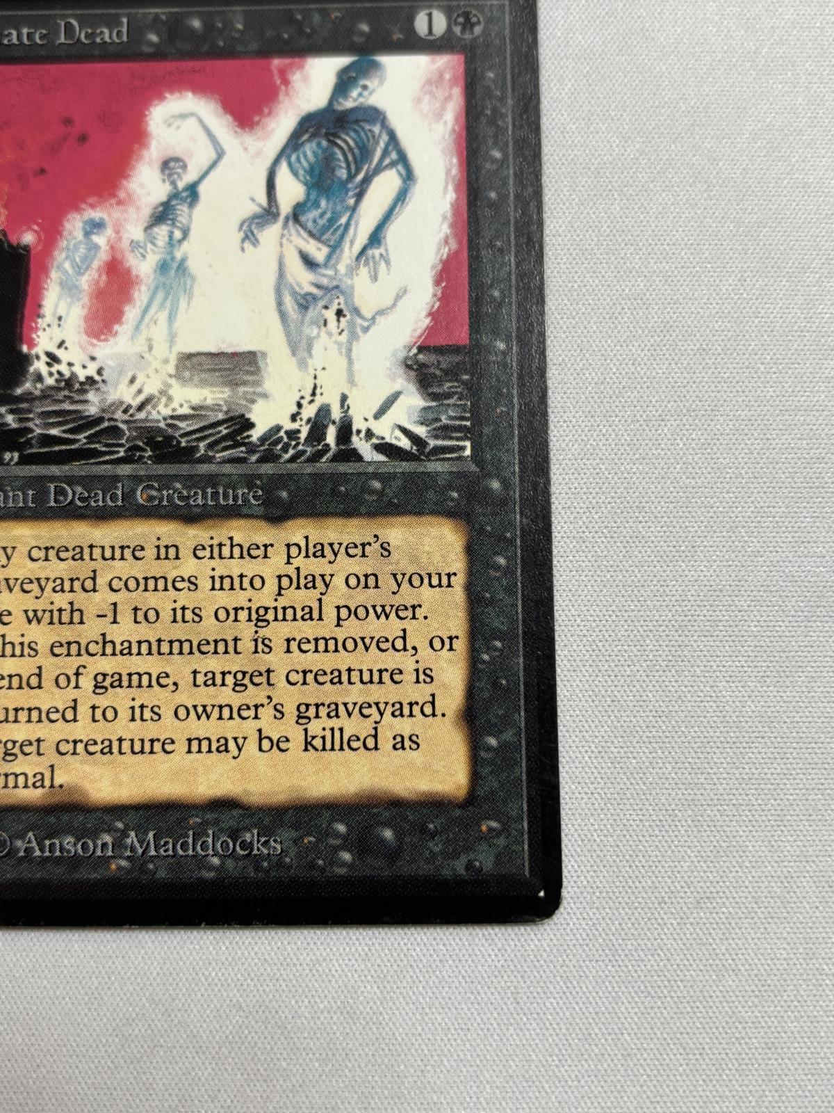 動く死体/Animate Dead》[LEB] SP - MTG専門店 Initiative