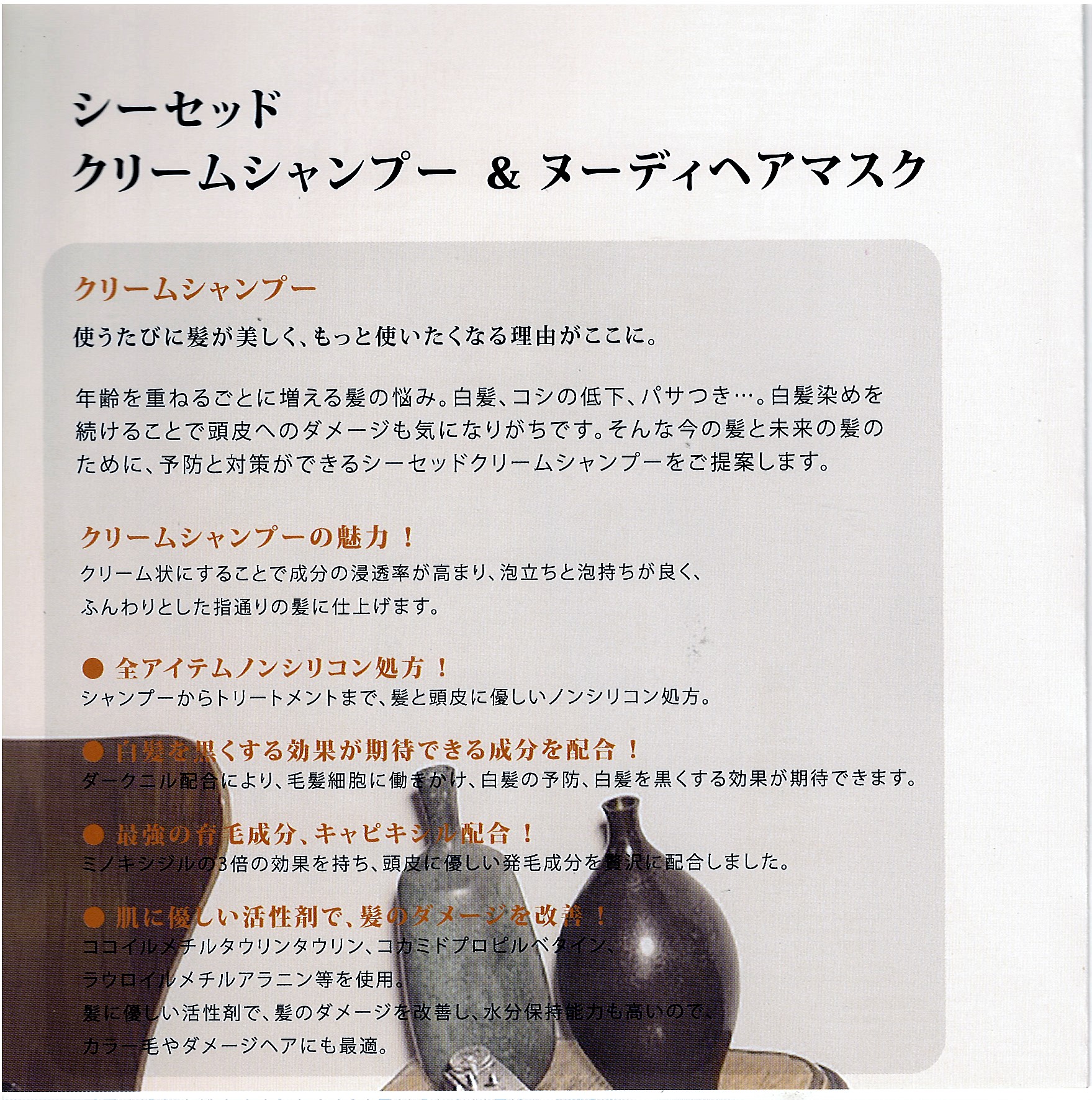 シーセッド」クリームシャンプー＆ヌーディヘアマスク | 広島の美容