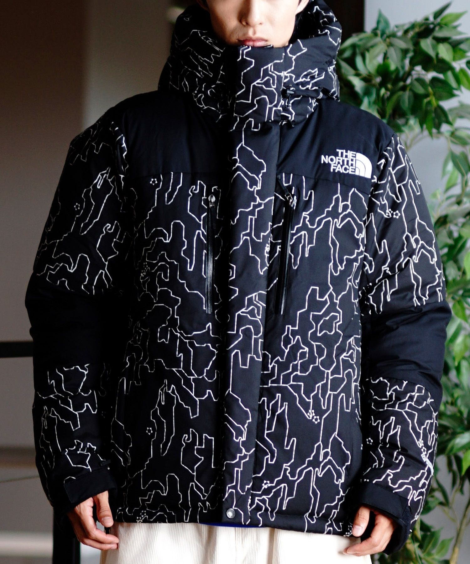 THE NORTH FACE ザ・ノース・フェイス アウター ダウン メンズ