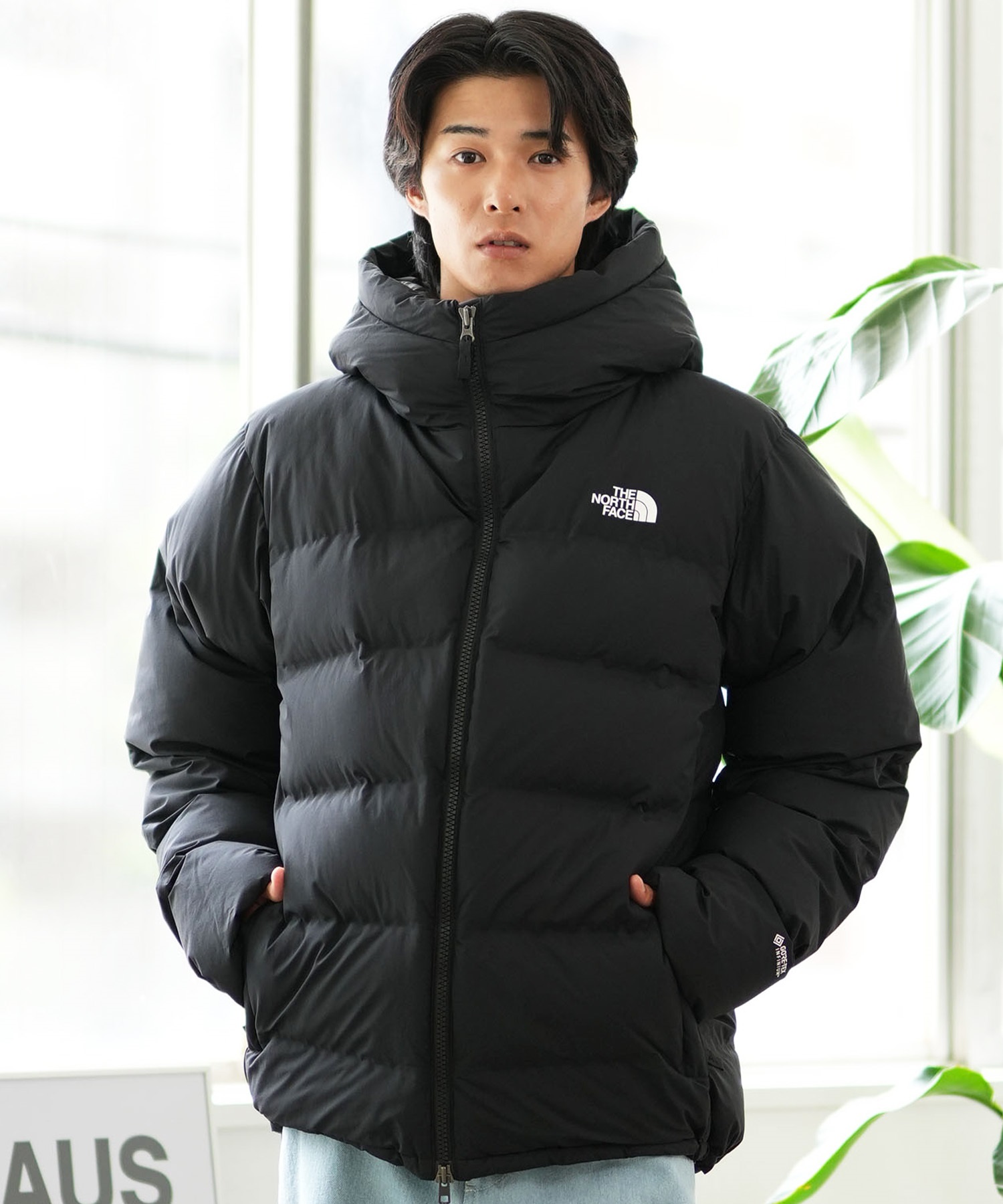 THE NORTH FACE ザ・ノース・フェイス アウター ダウン 中綿 メンズ