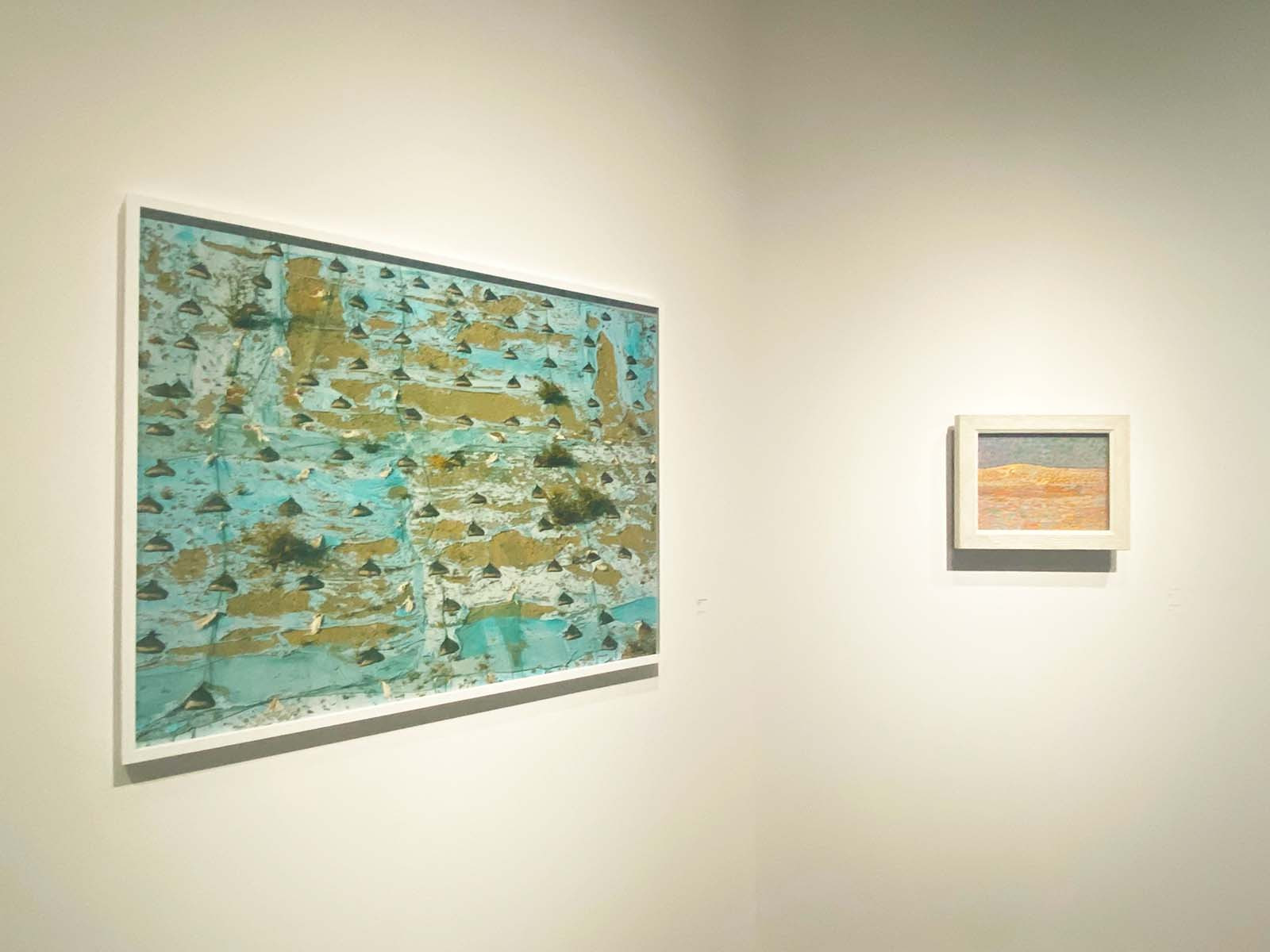 写真と絵画ーセザンヌより 柴田敏雄と鈴木理策 | レポート | アイエム