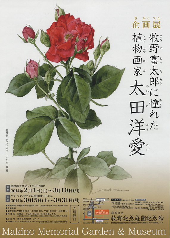 牧野富太郎に憧れた植物画家 太田洋愛 | 展覧会 | アイエム