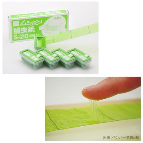 虫退治ドットコム / 【2セット】ムシポン用捕虫紙S-20 (5個入×2小箱