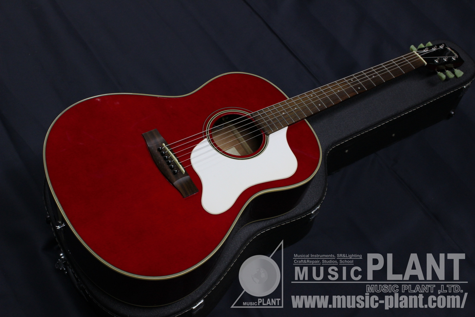 Stafford アコースティックギター レッド SAD-600 Stafford