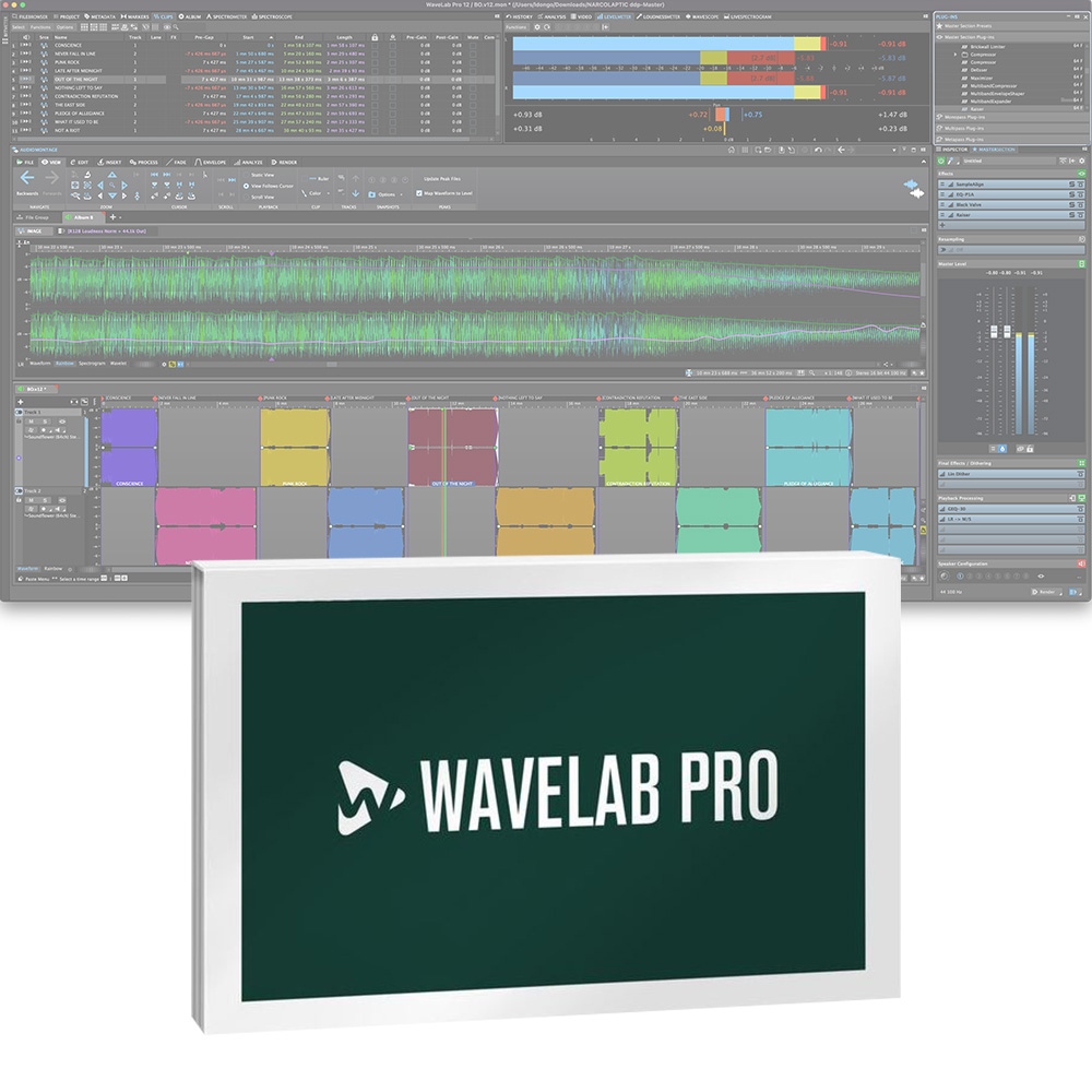 Steinberg Cubase Pro 12 VoiSona コラボ版 #kzn｜ミュージックランドKEY