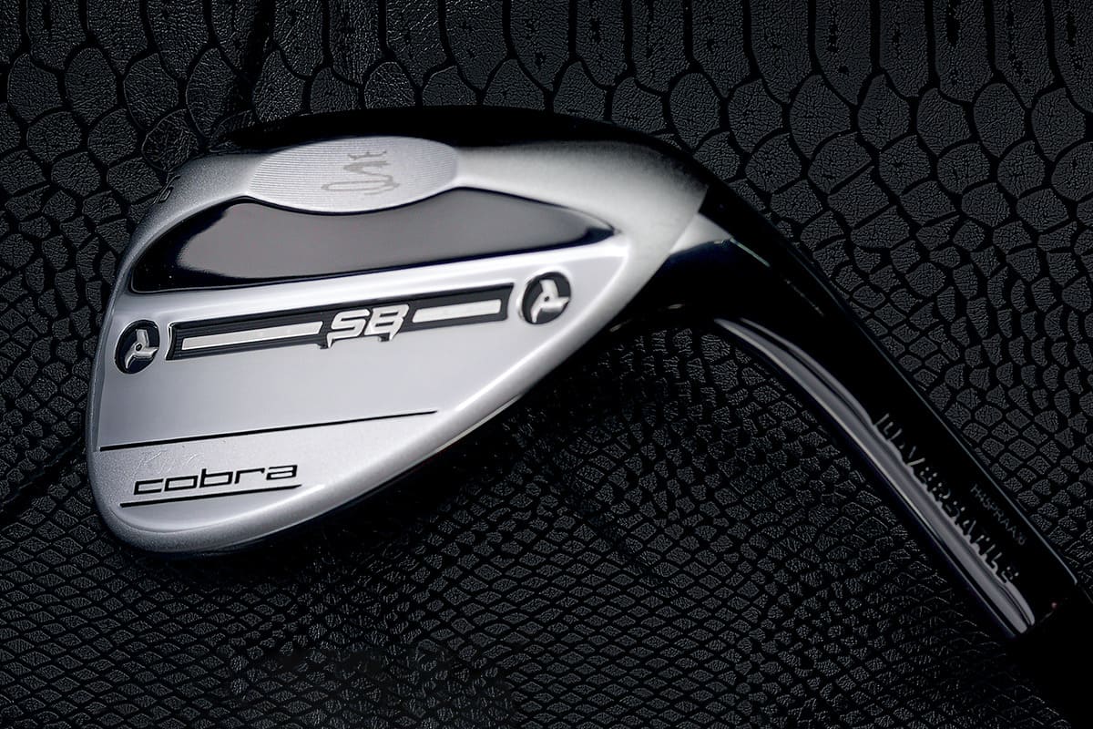 新風を吹き込む、コブラ「スネークバイト・グルーブ」搭載の「KING