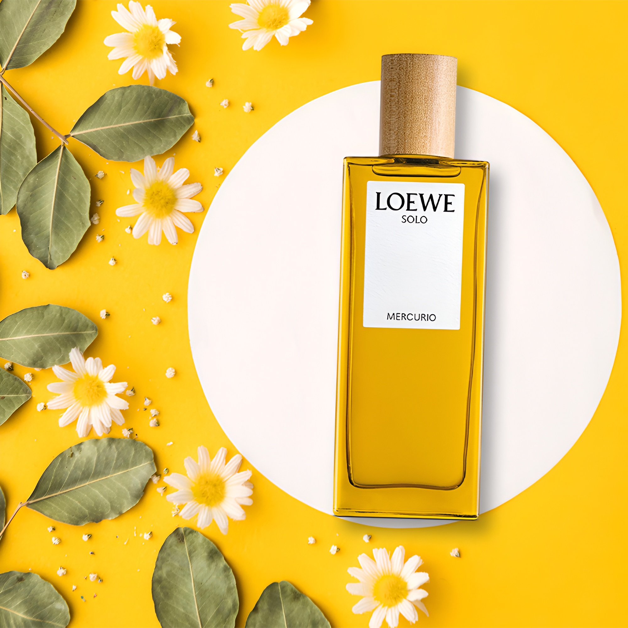 Shop Loewe Solo Loewe Mercurio EDP in Australia