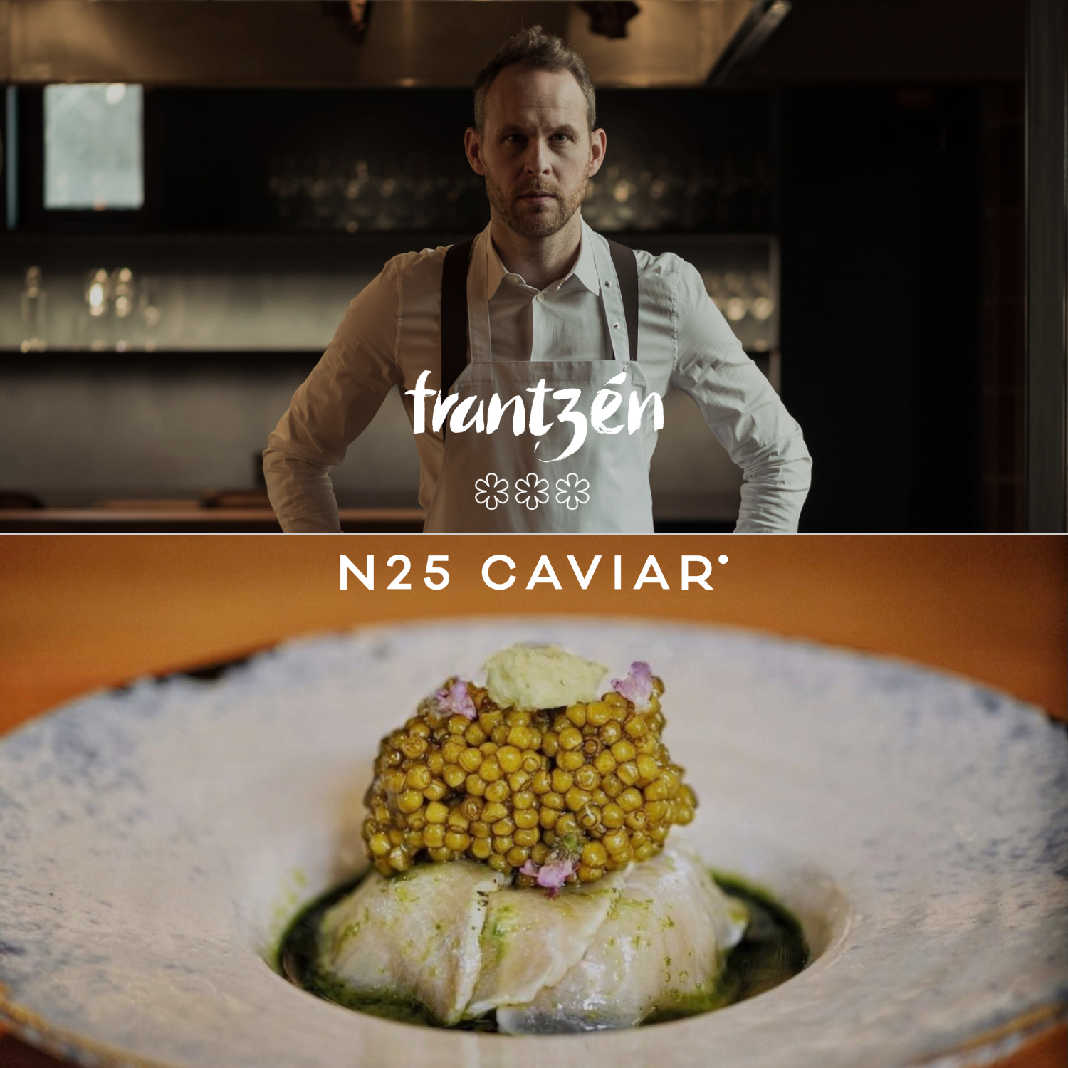 キャビア専用シェルスプーン – N25キャビア公式オンラインストア