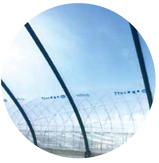 花野果 蒼天 厚さ0.15mm(幅135cmX長さ1m): 農業資材