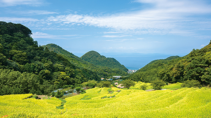 サステナビリティ：農林中央金庫