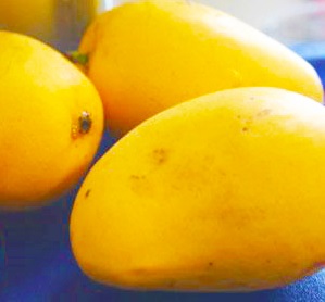 肥満気味の方の体重・体脂肪・内臓脂肪の減少をサポートし、高めの BMI