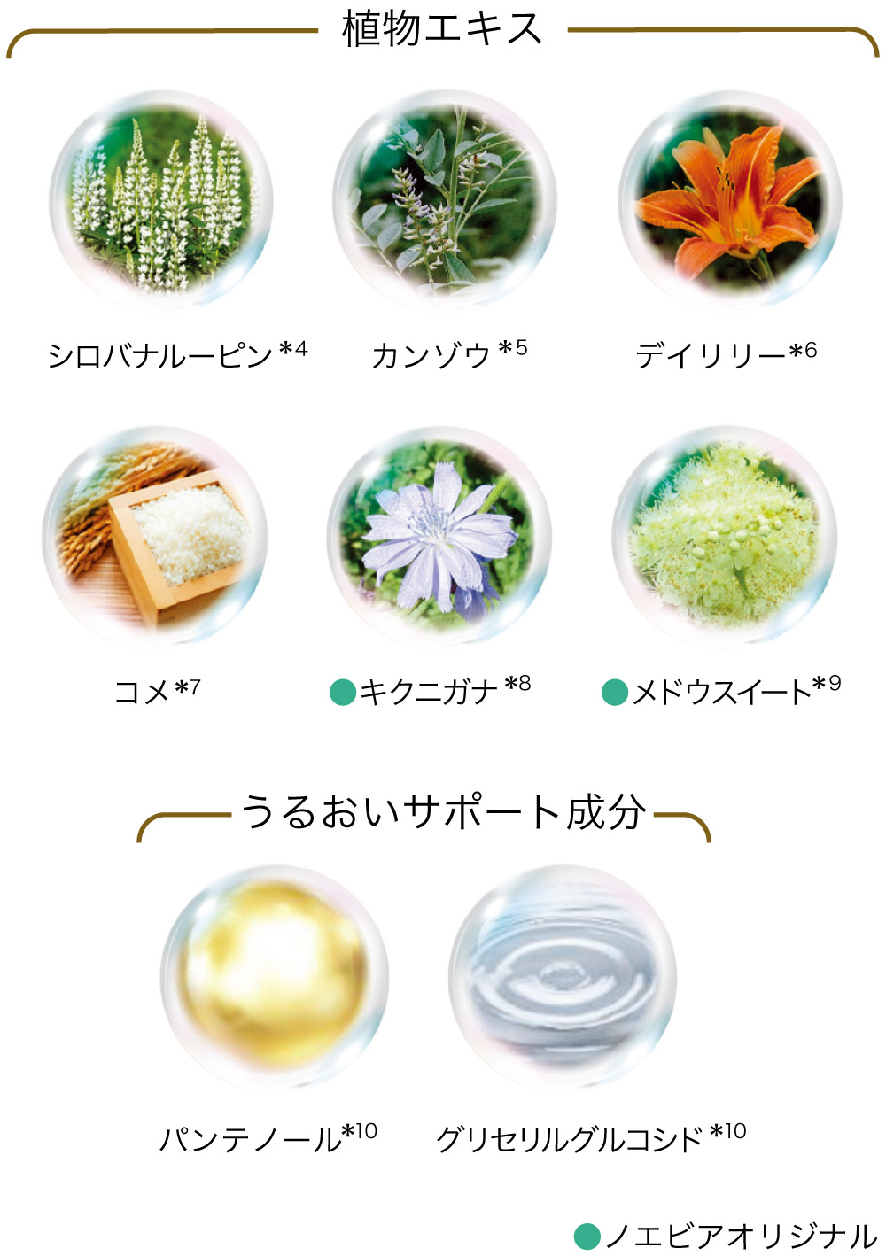 新開発した“ニリンソウ”の美容成分とアルガンツリーの幹細胞エキスを