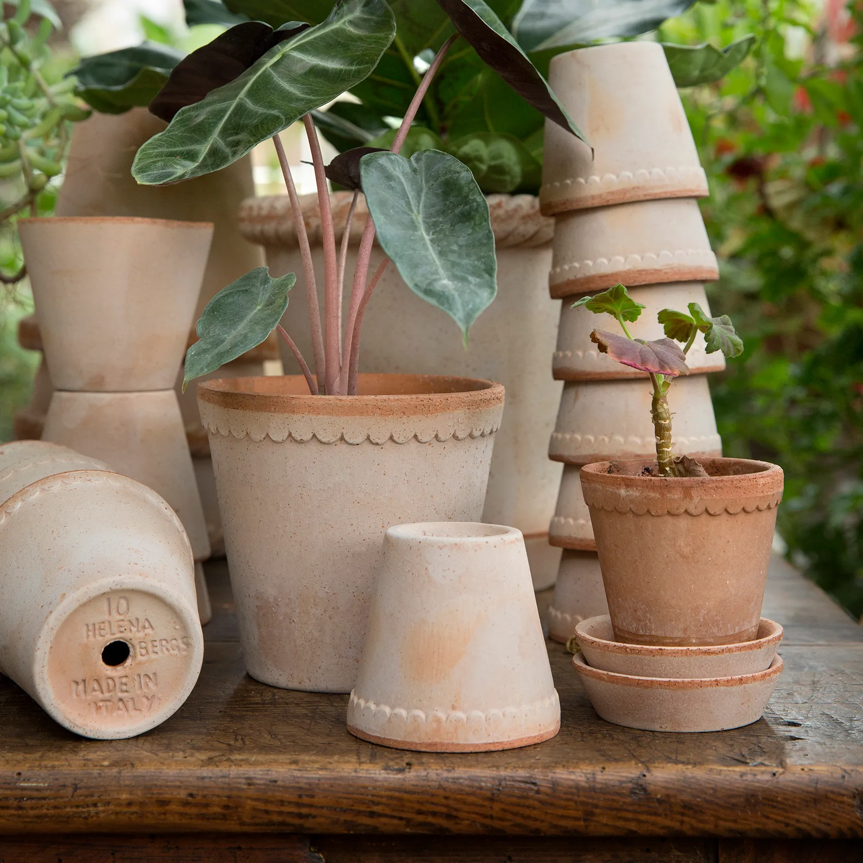 Bergs Potter | バーグスポッター からのHelena 植木鉢 10 cm