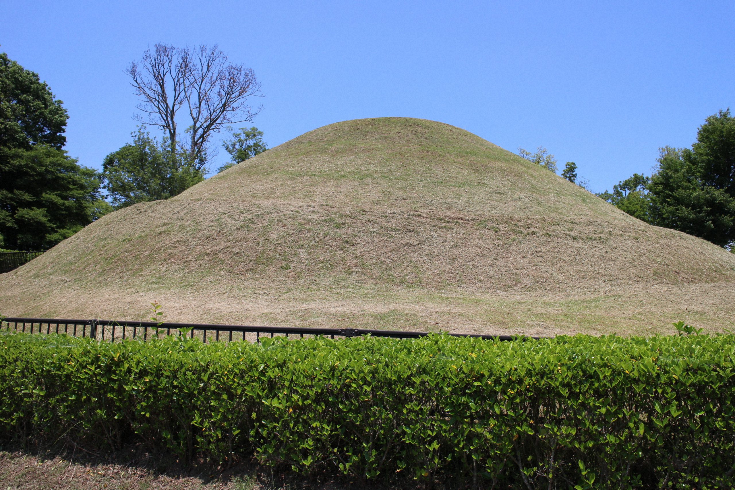 PSA10 古えの墳墓 不毛の大地 虹色の眺望 ほか13枚セット ZNE PSA10