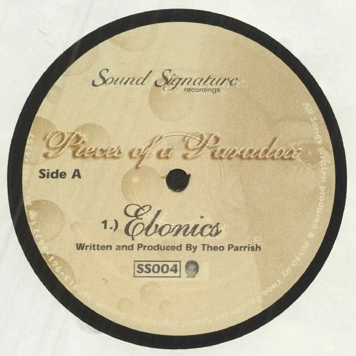 Theo Parrish - Pieces Of A Paradox | NEWTONE RECORDS