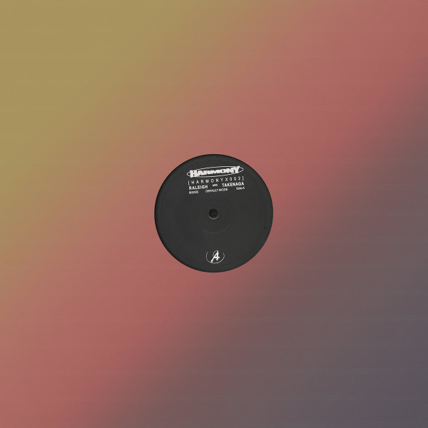 ミニマルテクノ テックハウス レコードまとめ 66枚 Minimal / Tech