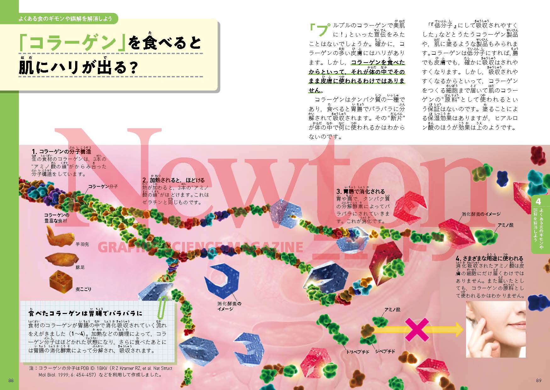食生活に関する正しい知識が満載！ 食と栄養の科学 | ニュートンプレス