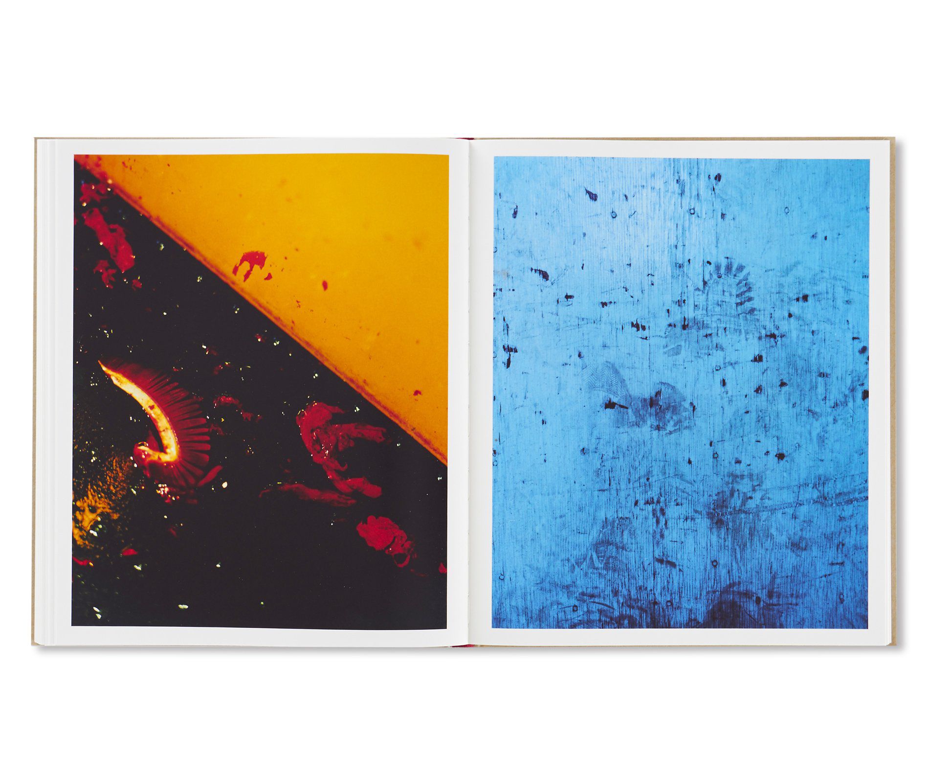 3年間一貫して撮り続けた表層、表面への追求を形に。ハーレー