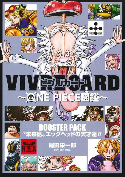 ビブルカード VIVRE CARD ONE PIECE図鑑 BOOSTER PACK 