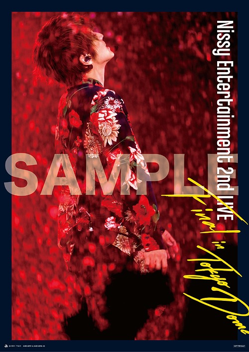 Nissy Entertainment 2nd LIVE -FINAL- in TOKYO DOME [通常版] Nissy