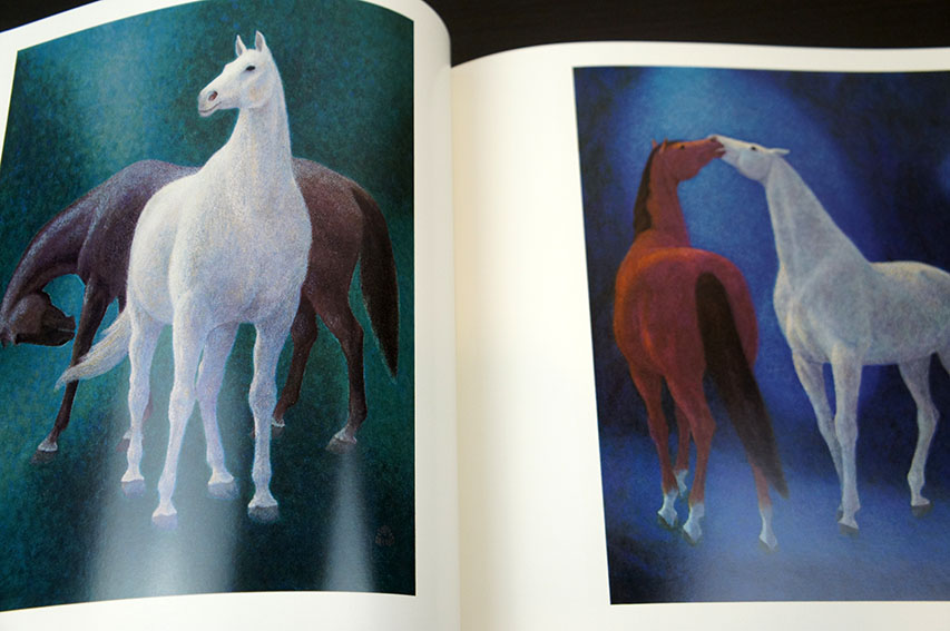 杉山寧画集 限定版 / 杉山寧 | Natsume Books