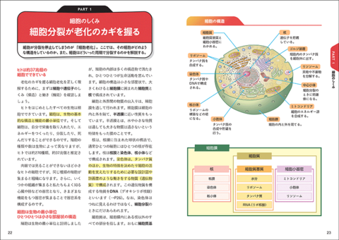 今と未来がわかる 老化の科学 | ナツメ社