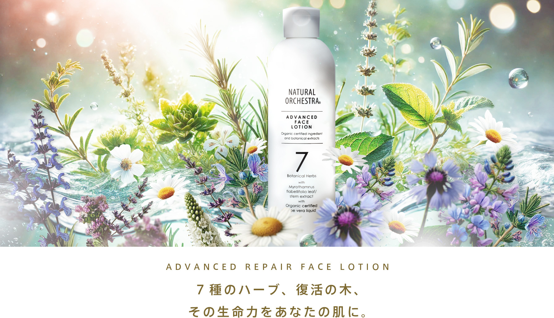 化粧水 アドバンスド リペアフェイスローション（敏感肌用）大容量