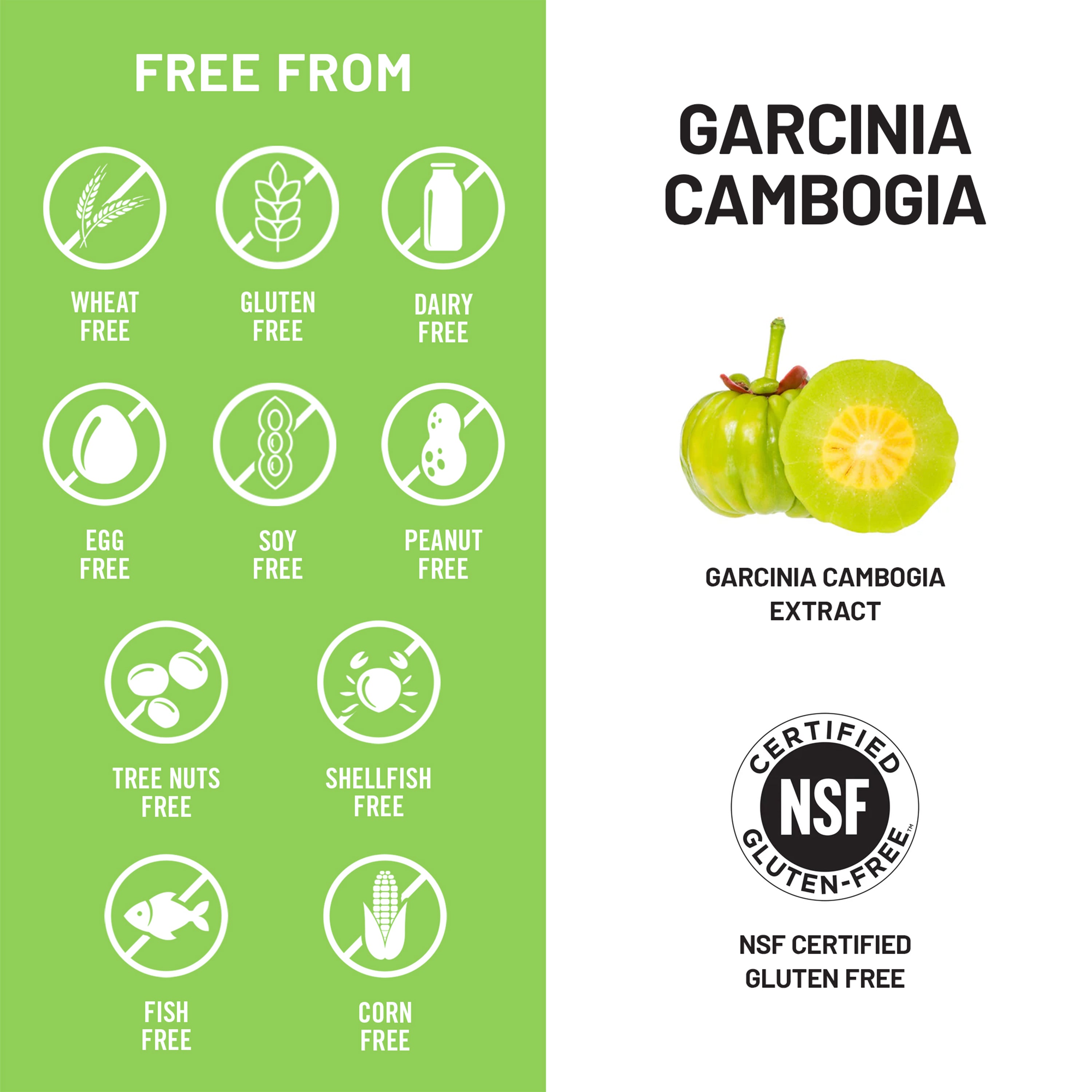Garcinia Cambogia | NATUREWISE
