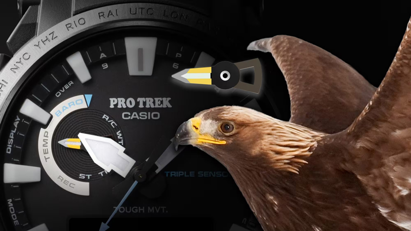 PRO TREKとのコラボ腕時計第6弾販売開始！テーマは「生命を育む水