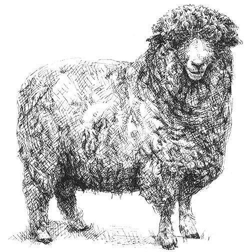 N-049 / ARCHIVE / NAHYAT