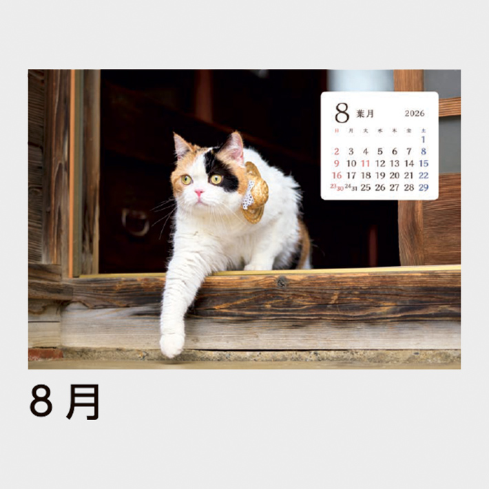 SB-354 卓上・猫さんぽ（ワイド）│2026年 名入れカレンダーストア