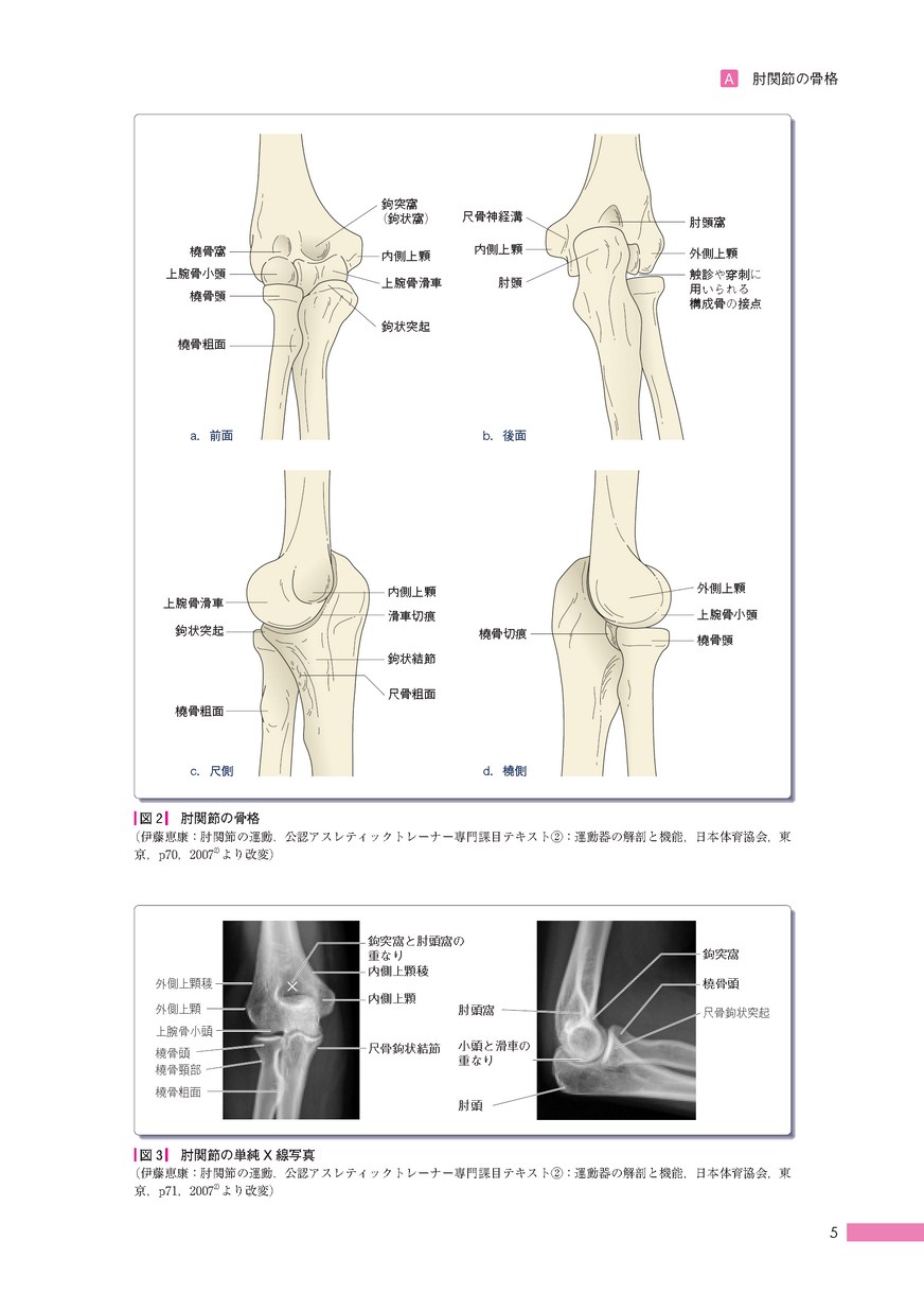 肘関節外科の実際