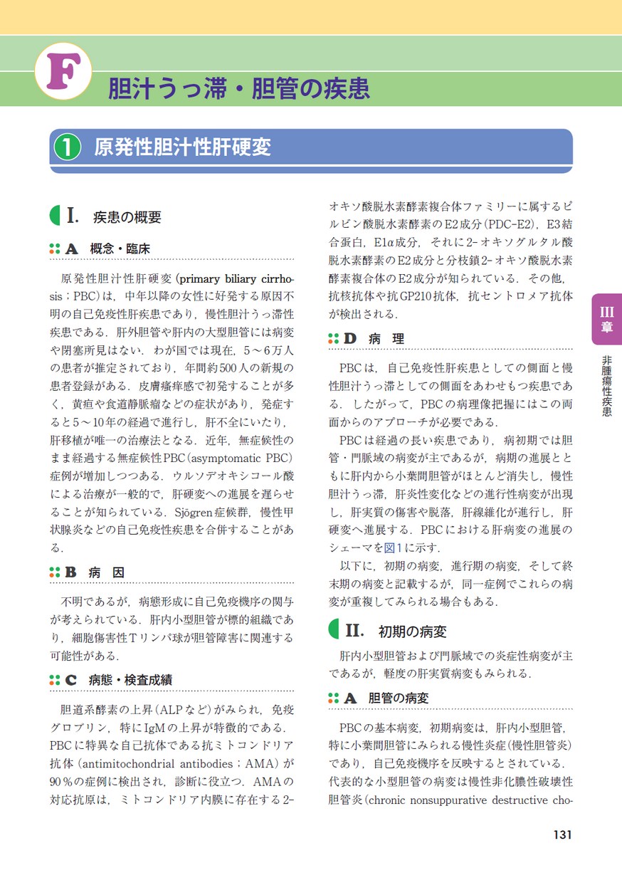 肝臓を診る医師のための肝臓病理テキスト
