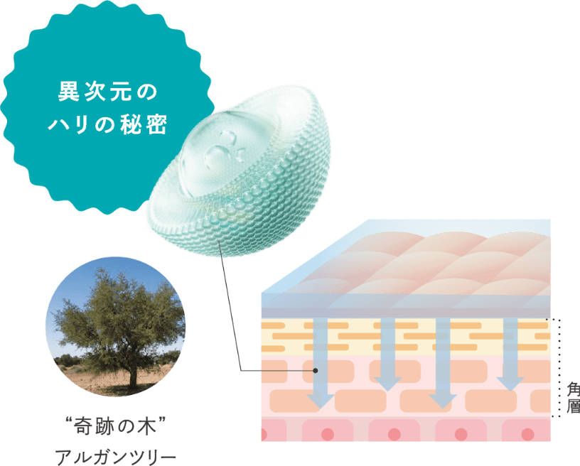 マッサージング パック(通常購入): シリーズから探す / ナリス