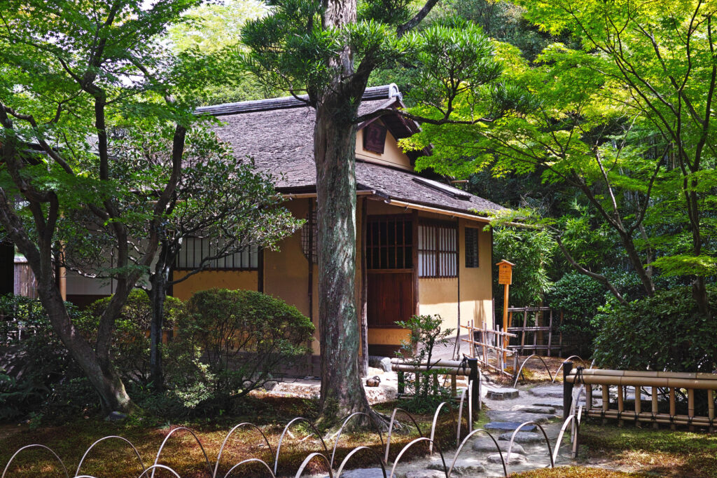 モダンな数寄屋造りの家は豪邸じゃなくても叶う｜特徴や間取り、外観