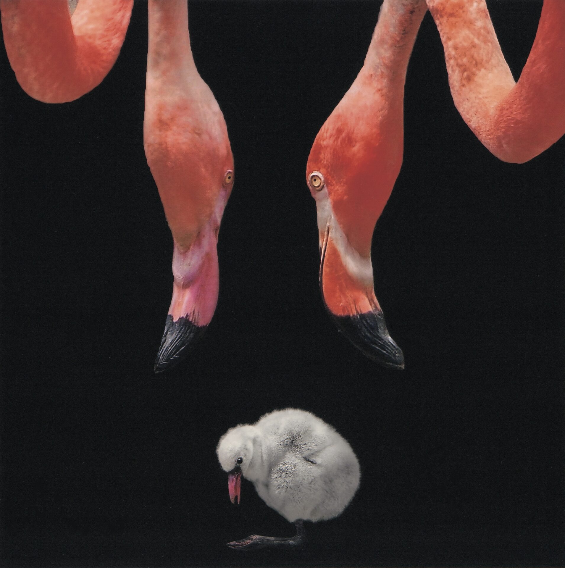 第73回二科会写真部展 – 一般社団法人二科会写真部